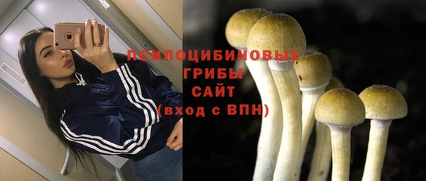 MESCALINE Великий Новгород