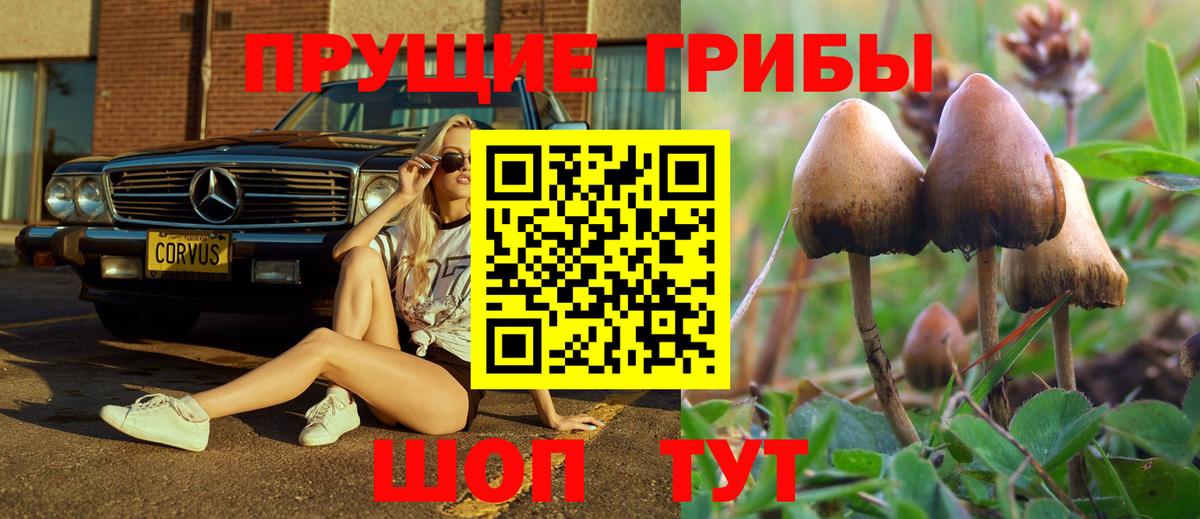 Дюртюли  Галлюциногенные грибы мицелий  Вход с VPN 